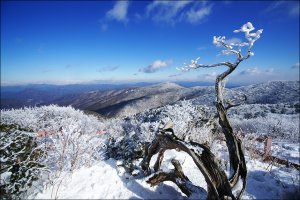 설악산 눈산행