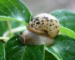 재생마사지크림5