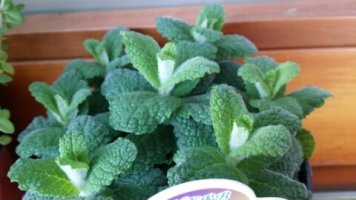 인터넷이안돼요1