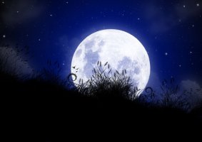 Debussy / Clair De Lune (달빛)
