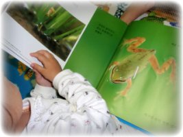 땅꼬마자연앨범5