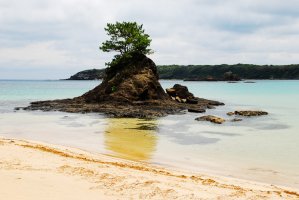 ★맑은 날이면 부산에서 건너다 보이는 일본 대마도對馬島★