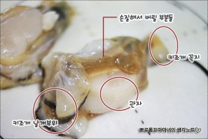 키조개2