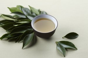 여드름에좋은음식4