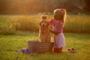 강아지약용샴푸1