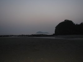 안면도갯벌체험2