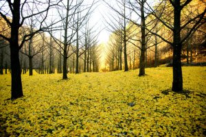 베이비시터구직1