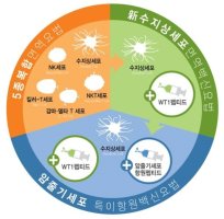 면역세포치료1