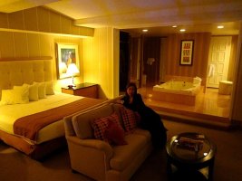 라스베가스카쇼1