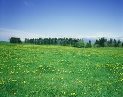 아동관련자격증4