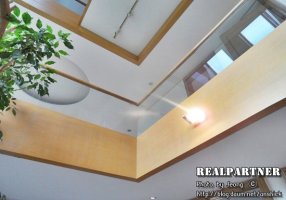 단독주택사무실6