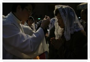너희는 원수를 사랑하여라 (마태오 5.43~48)