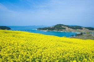 갑자기어지러울때3