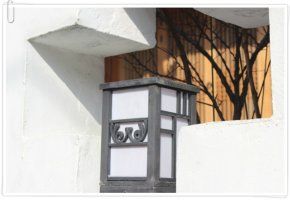 메조보톡스효과2