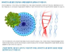 국제건강가족동호회3