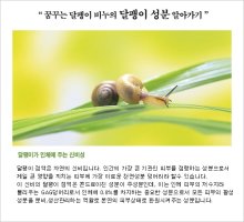 비누추천1