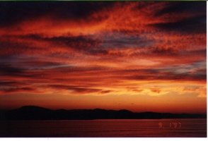 제휴없는웹하드2