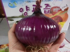 빨간양파즙의효능3