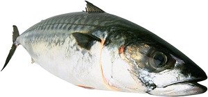 혈액순환에좋은약2