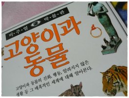 웅진비주얼박물관3