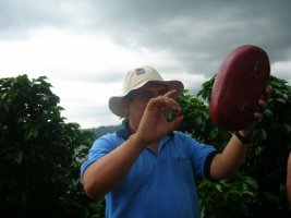 코스타리카커피2