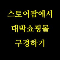 잘나가는쇼핑몰2