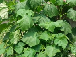 드라마다시보기3