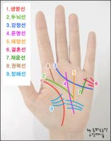 속초허벌라이프1