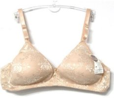 여성빅사이즈속옷1