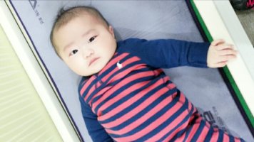 로타바이러스가격2