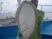 영흥도바다낚시4