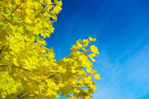 갑자기어지러울때5