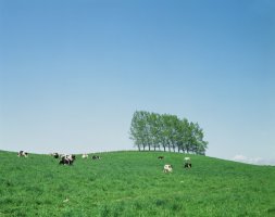 아동관련자격증5