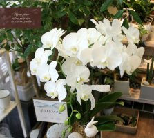 사무실개업선물3