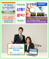 엘아이지자동차보험2