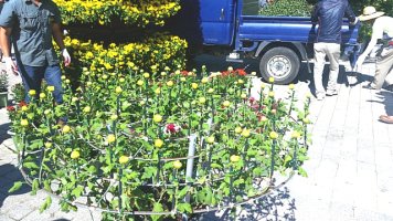 홍천대명리조트2