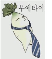 무에타이 이미지