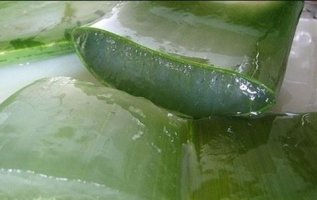 알로에먹는방법2