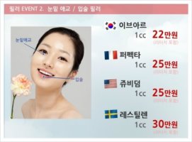 대전이마필러가격1