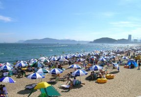 부산관광가이드학원3