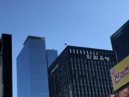 봉투제작을하고싶어요2