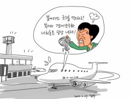 박근혜의 복지 회항