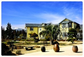 제주목화휴양펜션1