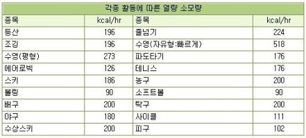 음식별칼로리2