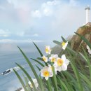 [김민철의 꽃이야기] 거문도 '미스 수선화' 만나러 가는 길